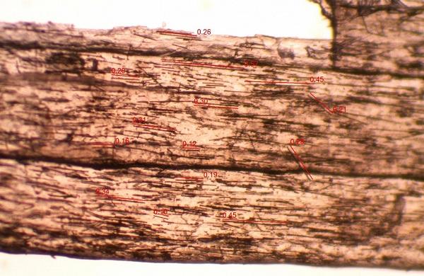 3Dtoday за 60 секунд от 3 ноября