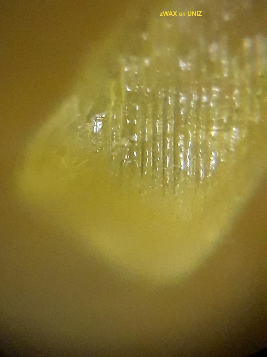 zWAX от UNIZ Пробная печать. UNIZ PLUS.