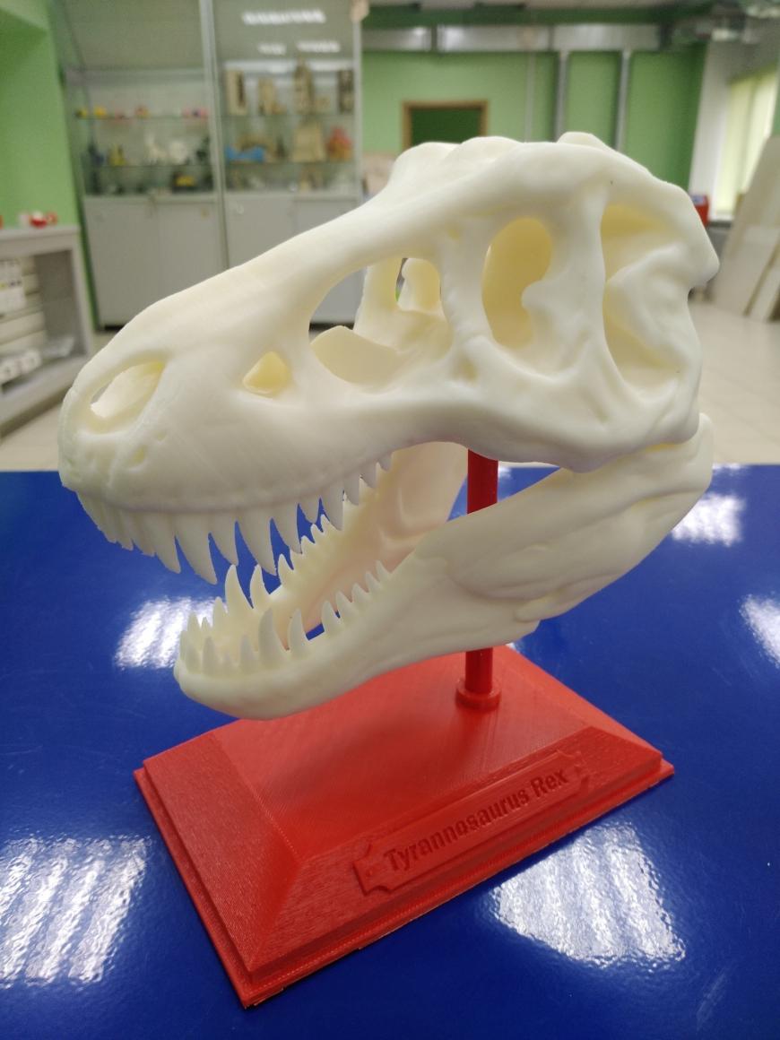 Череп Тиранозавра