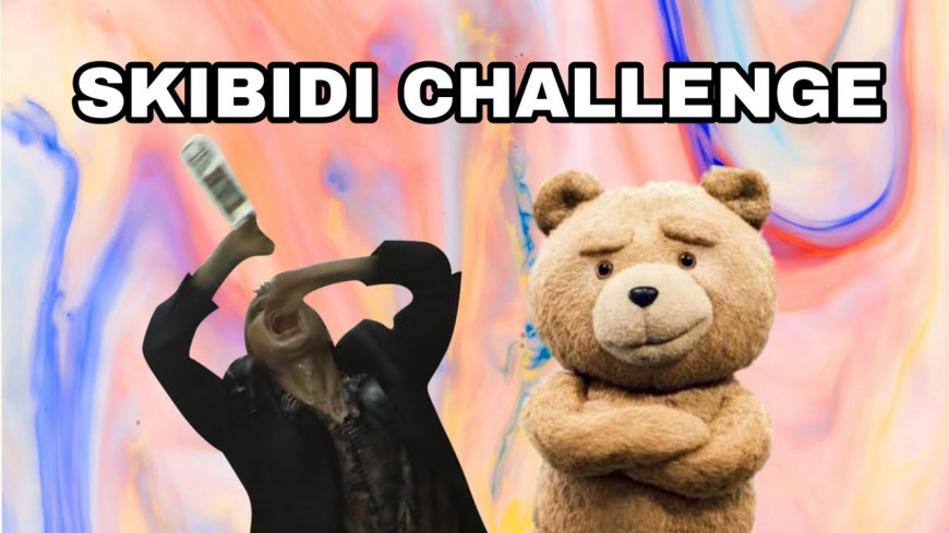 Мой новый домашний Hercules 2018 Imprinta