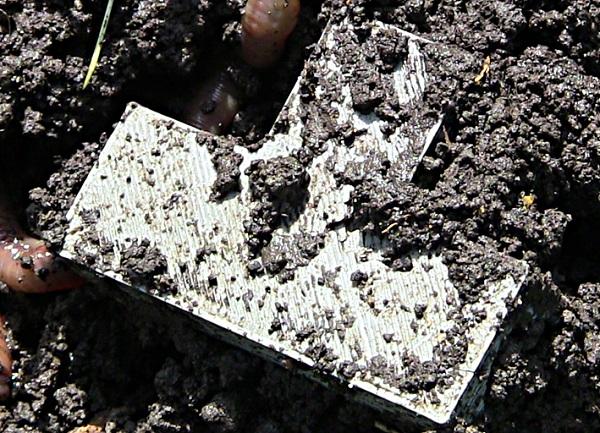 3Dtoday за 60 секунд от 15 мая