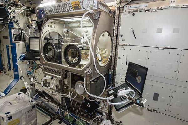 Первая коммерческая космическая станция превратится в фабрику 3D-печати