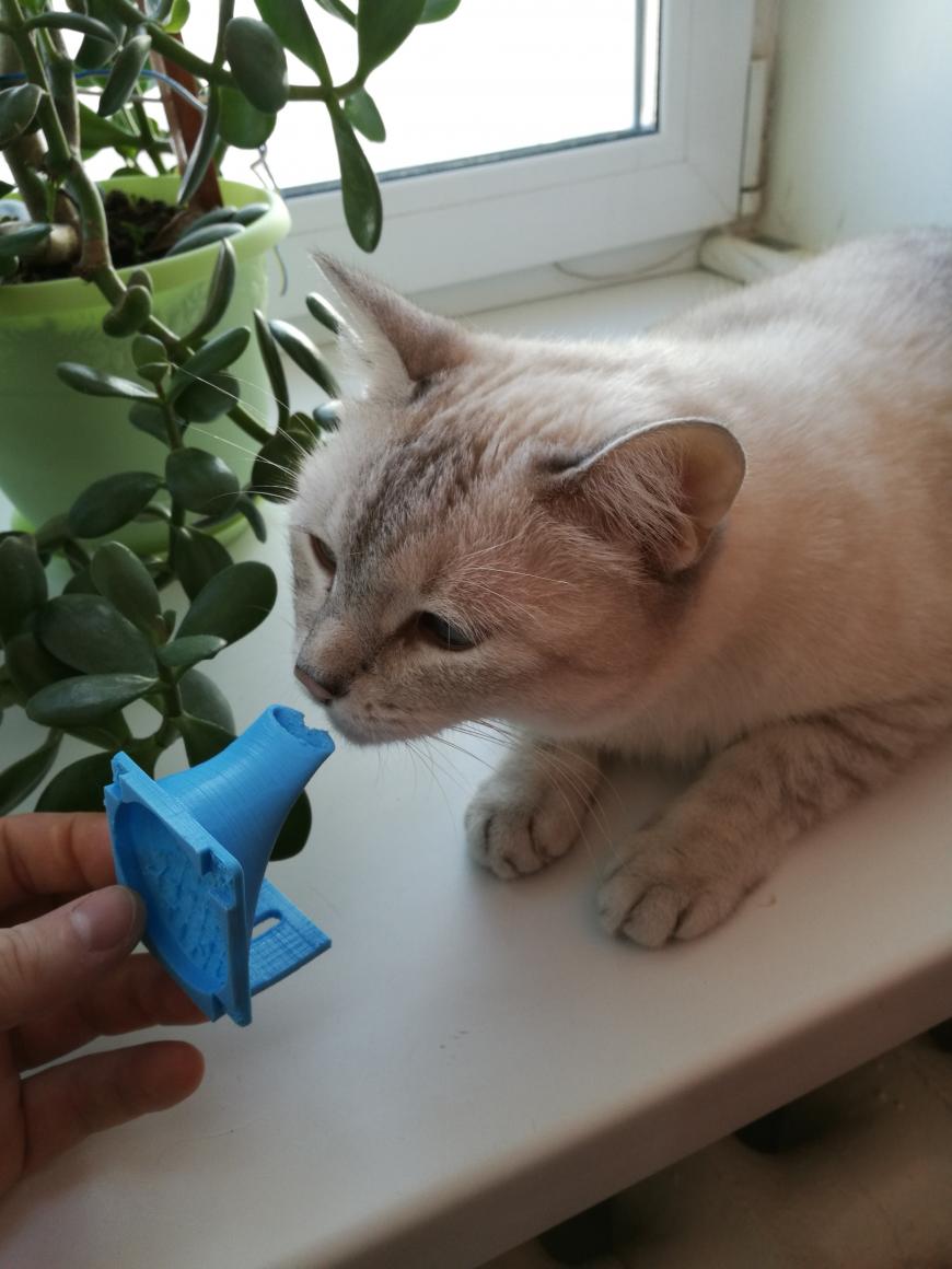 3D принтер за 3 тысячи рублей. Железнорожденная черепаха.