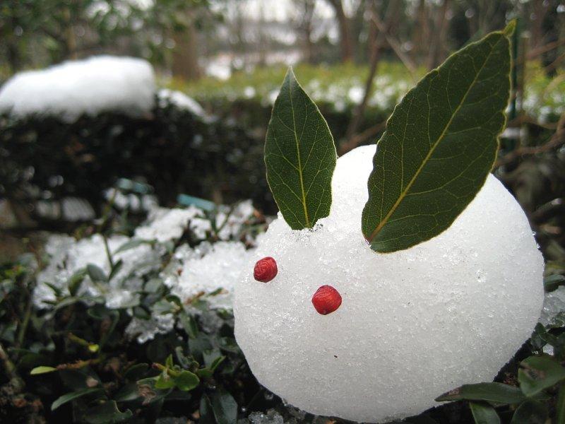 Снежный кролик - маскот тульского аниме фестиваля Yuki no Odori