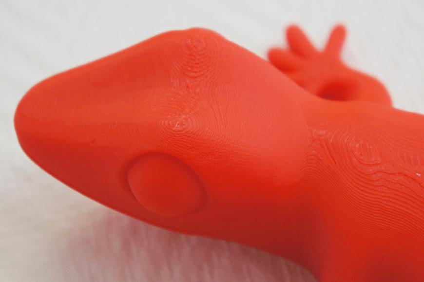 Очаровательный настенный друг!