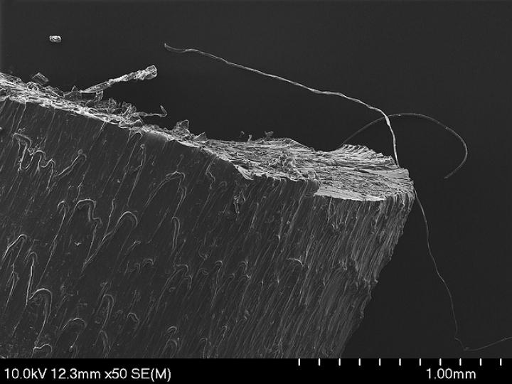 Филаменты для 3D-печати крупным планом - под электронно-сканирующим микроскопом