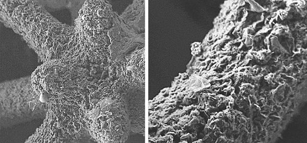 Представлена методика 3D-микроструктур из графеновых аэрогелей