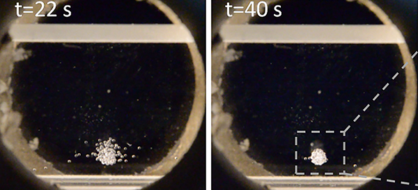 Российский космический 3D-биопринтер отправится на МКС осенью этого года