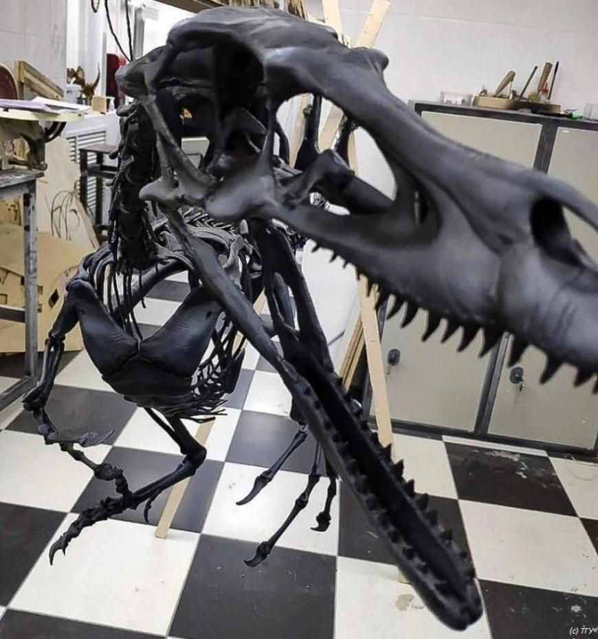 В ТГУ на 3D-принтере напечатали полутораметровый скелет динозавра