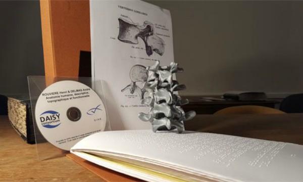 Французские терапевты-инвалиды получат 3D-печатные учебные пособия Французские терапевты-инвалиды получат 3D-печатные учебные пособия