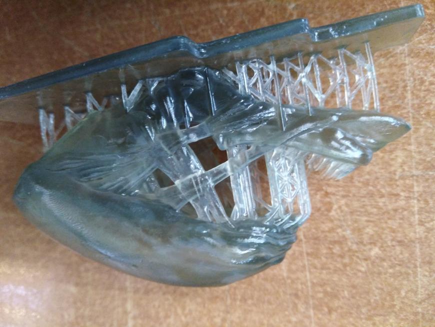 Alien Queen ( Wanhao D7 )