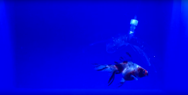 Ученые MIT создали 3D-печатного робота-рыболова
