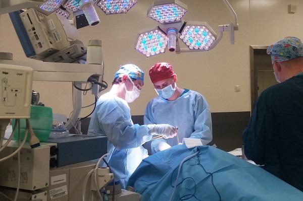 Хирурги ДВФУ осваивают краниопластику с использованием 3D-печатных имплантатов