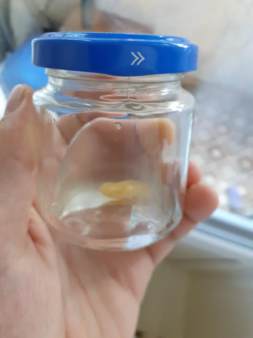 Клей бф-2, что не так?