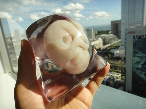 Уфимский стартап печатает на 3D-принтерах модели эмбрионов