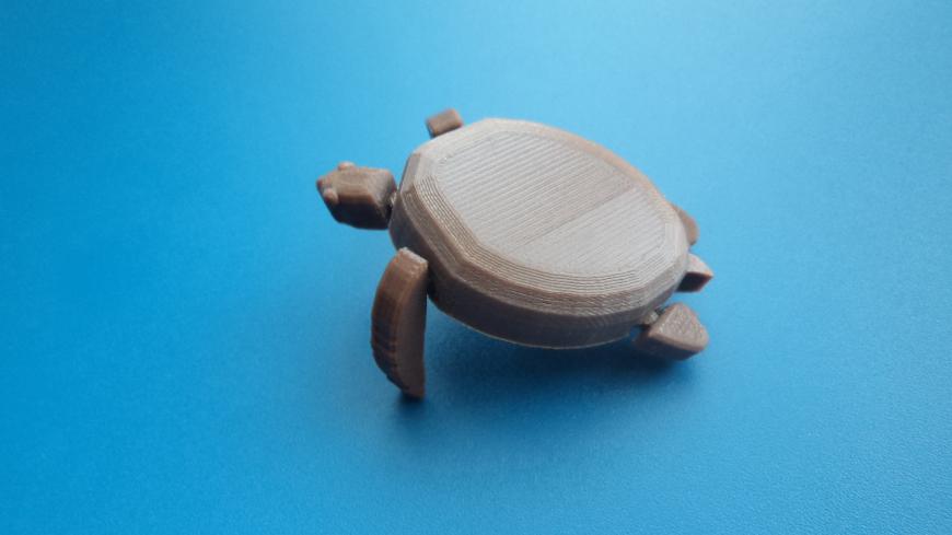 Флора и фауна.