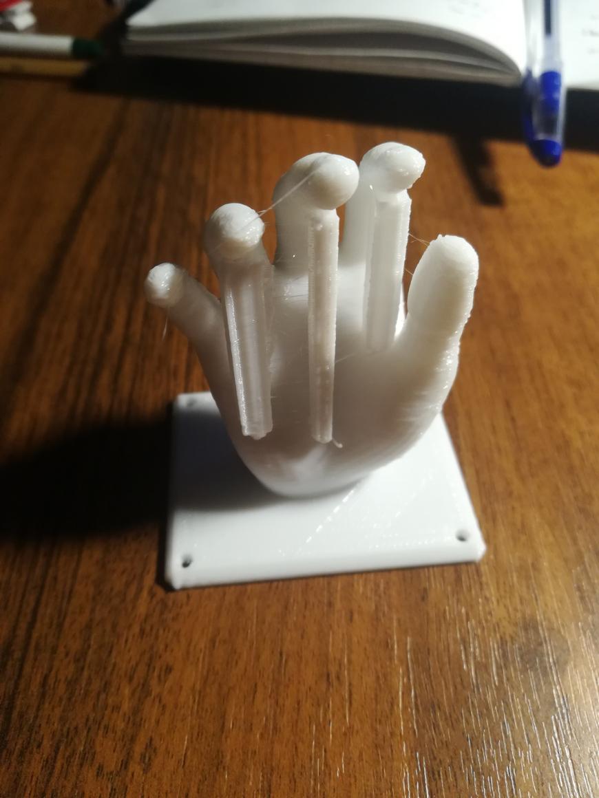 Печать ладони для ногтевого мастера