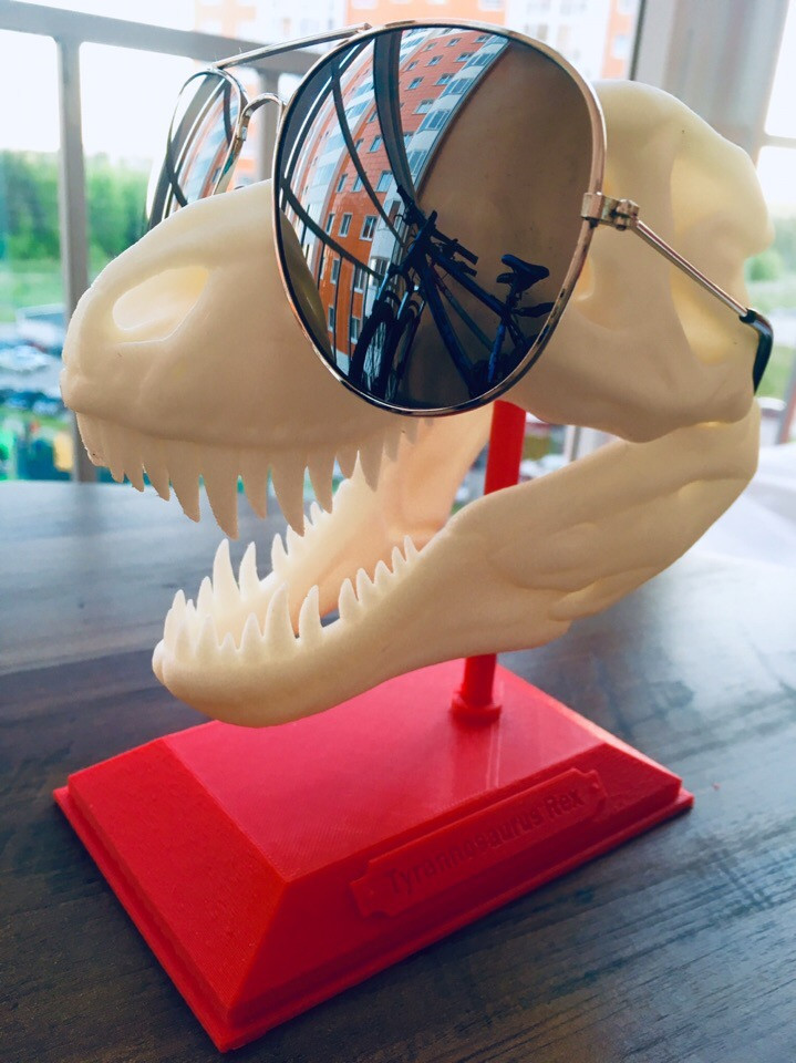 Череп Тиранозавра