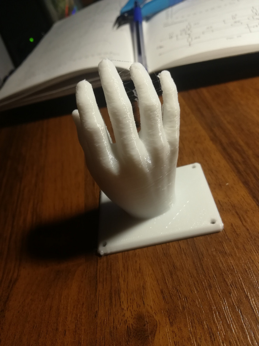 Печать ладони для ногтевого мастера