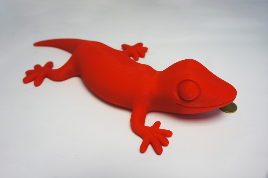 Очаровательный настенный друг!