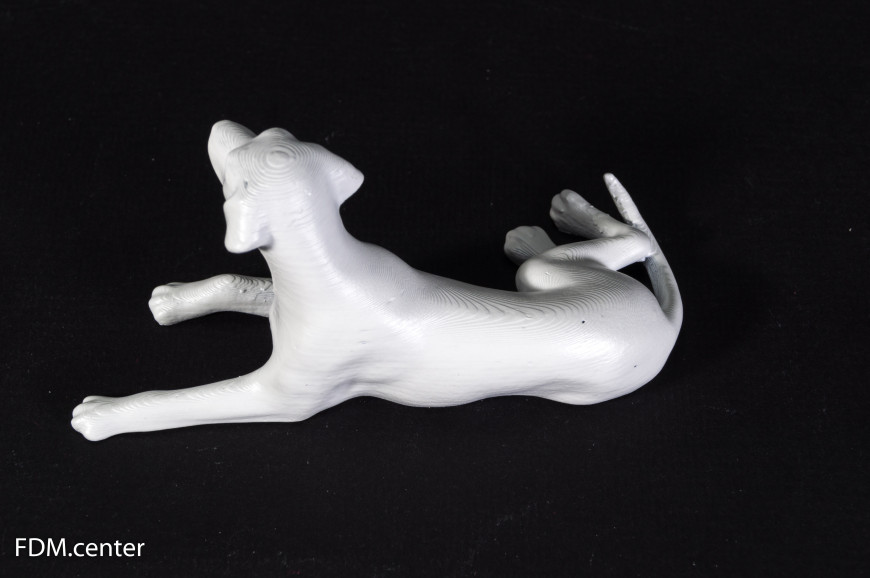 Далматинец альбинос