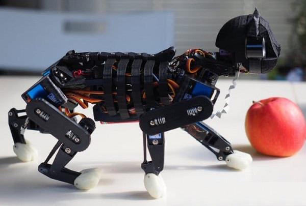 Китайский инженер спроектировал и изготовил 3D-печатного робота-кота