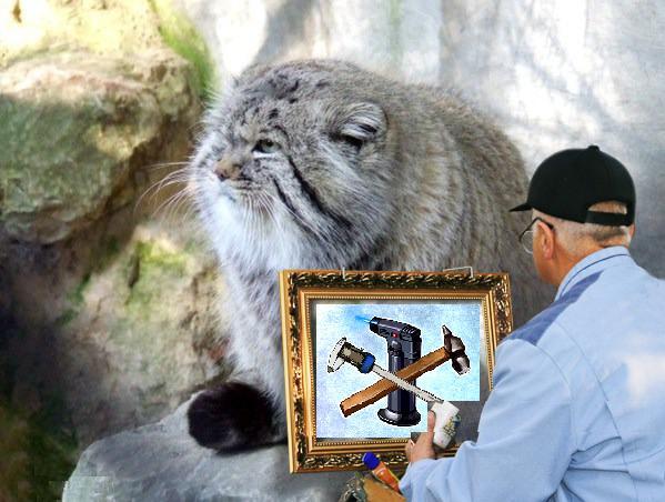 Учим 3D-English 10.1:  Манулинг ненаглядный, или заокеанская практика