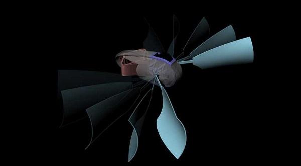 Швейцарские ученые напечатали на 3D-принтере безмоторную субмарину на веслах