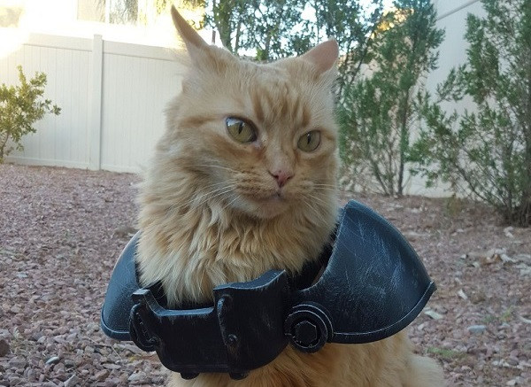 Атомная кошка, или Кто на самом деле будет сражаться с мутантами