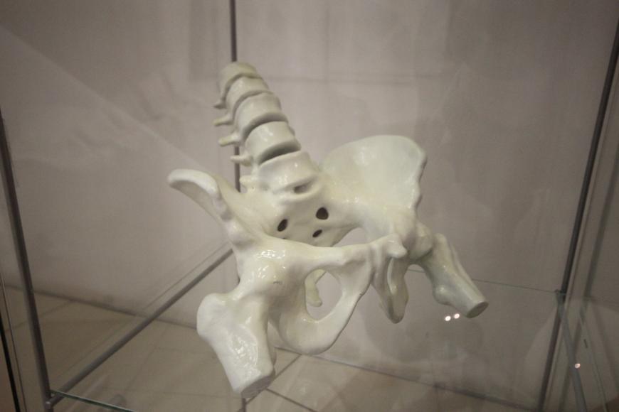 Top3DExpo 2018 - обзор, фотографии, мысли