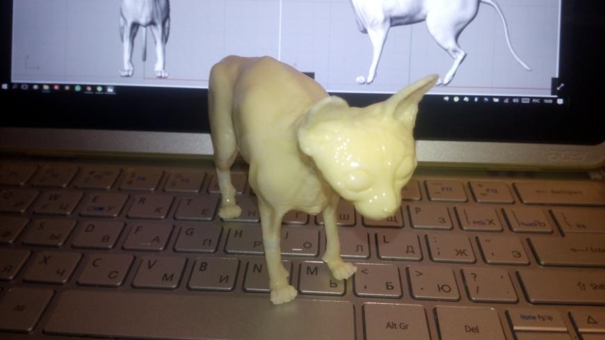Кошка Сфинкс - моя первая 3D скульптура.