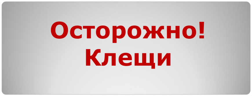 Осторожно клещи!