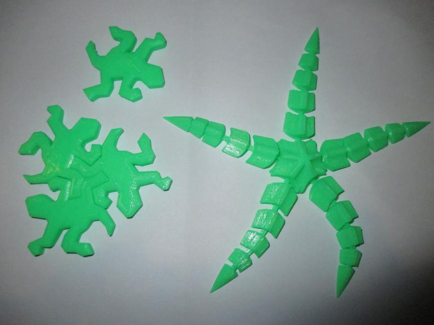 Морская звезда и пазлы-ящерки