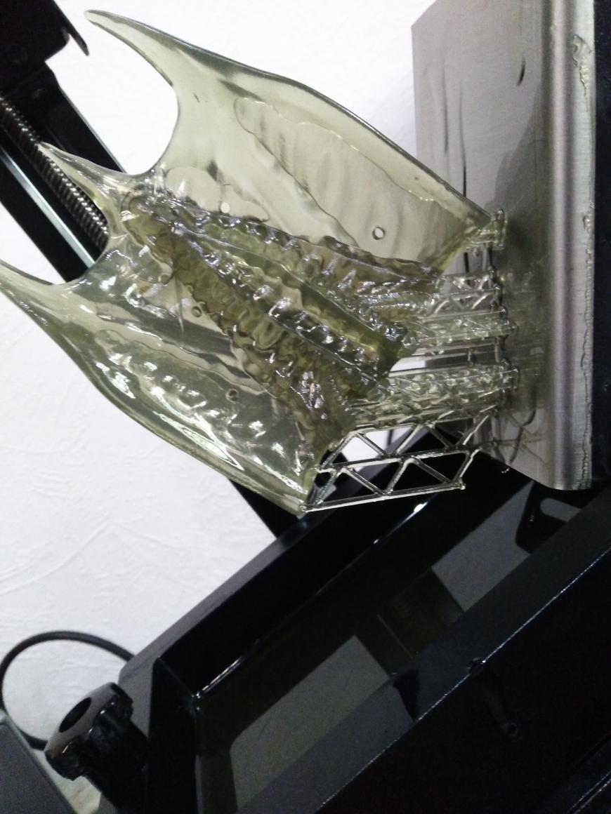 Alien Queen ( Wanhao D7 )