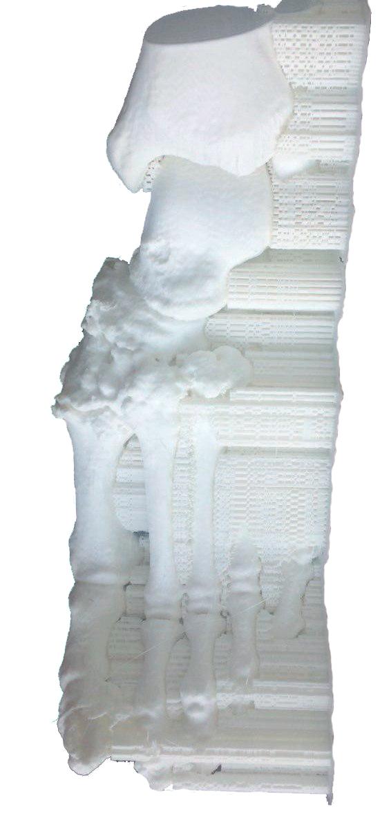 Печать модели ступни на 3D принтере линейки Prism