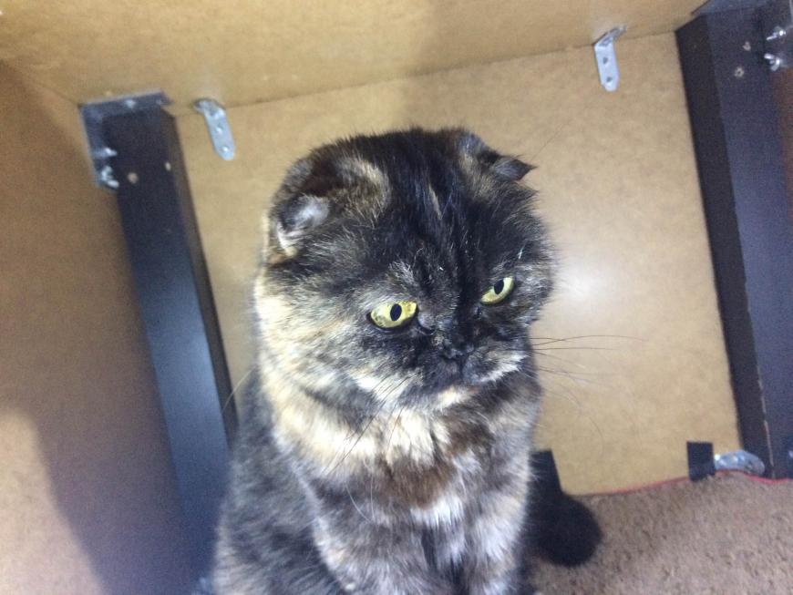 ТО для Wanhao i3 + не большой тюненх