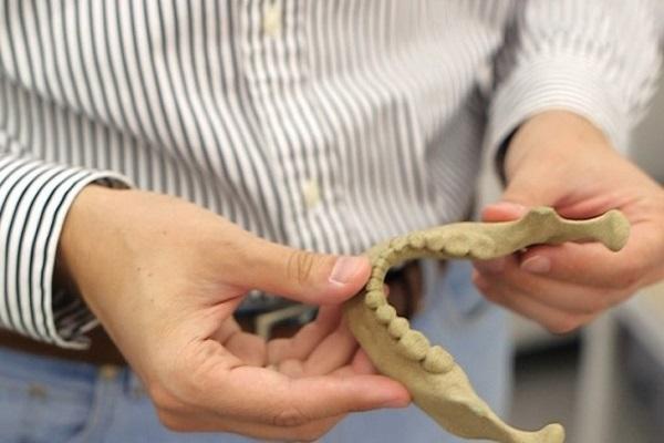 3Dtoday за 60 секунд от 31 августа