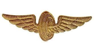 В чем проще смоделировать нагрудный значек