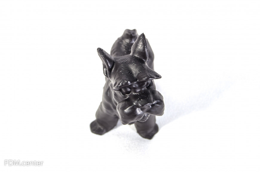 Собака по кличке Идея Фикс