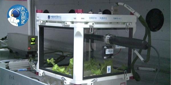 Китайские ученые разработали методику 3D-печати керамики в невесомости