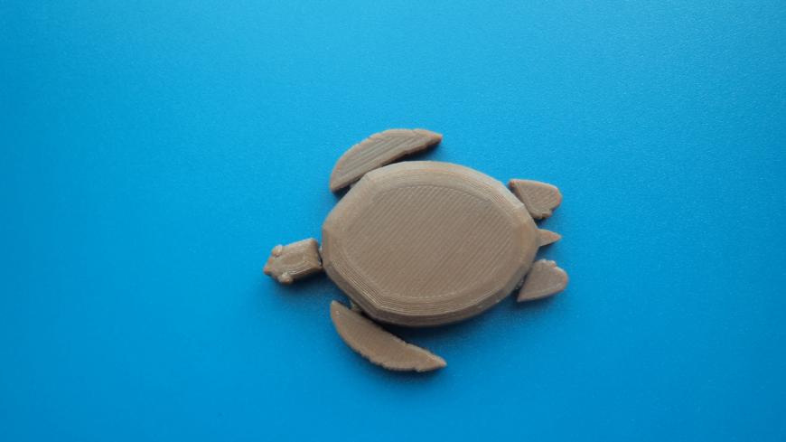 Флора и фауна.