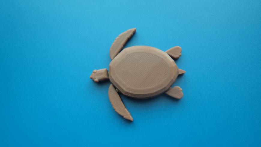 Флора и фауна.