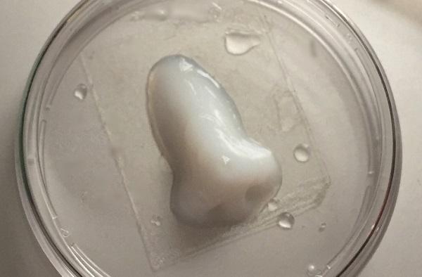 Компания Allevi предлагает самый недорогой 3D-биопринтер на рынке Компания Allevi предлагает самый недорогой 3D-биопринтер на рынке