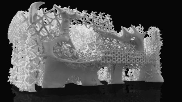 Австралийский архитектор восстановит коралловые рифы с помощью самого большого 3D-принтера в мире