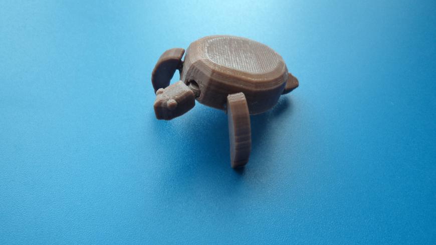 Флора и фауна.