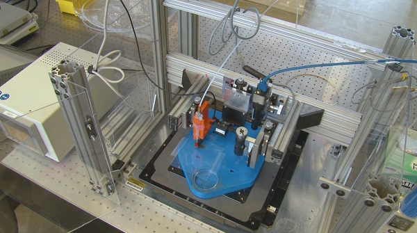 Обязательно бахнем, но сначала напечатаем!