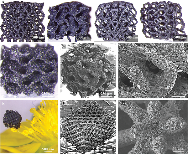 Представлена методика 3D-микроструктур из графеновых аэрогелей