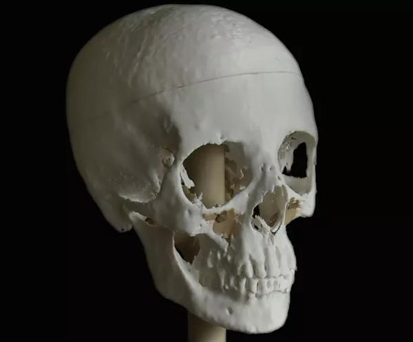 Австралийские ученые использовали 3D-технологии для воссоздания облика древнеегипетской женщины