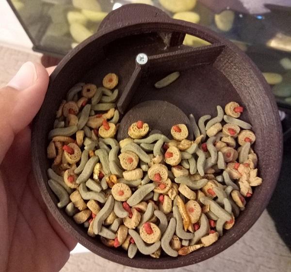 3Dtoday за 60 секунд от 24 августа