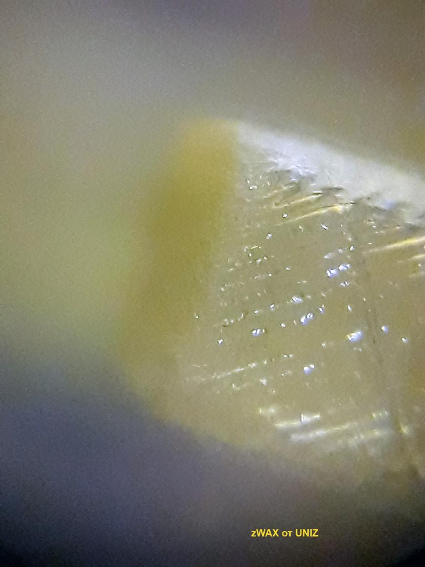 zWAX от UNIZ Пробная печать. UNIZ PLUS.